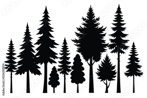 Silhouettes of various evergreen trees in a forest