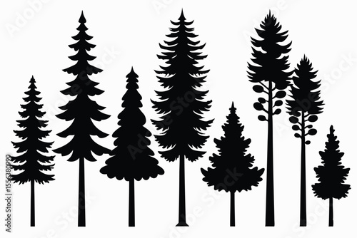 Silhouettes of various evergreen trees in a forest