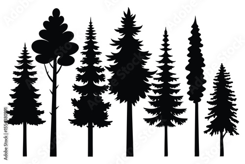 Silhouettes of various evergreen trees in a forest