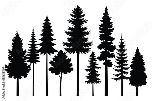 Silhouettes of various coniferous and deciduous trees