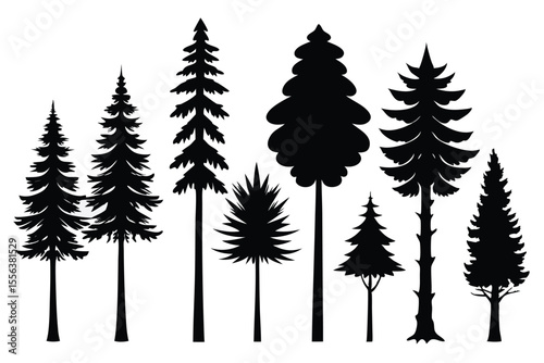 Collection of silhouettes various evergreen trees forest nature