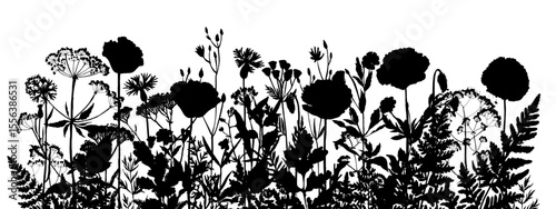 Vector silhouette of wild meadow herbs and flowers. Natural black grass border on white background. Perfect for botanical design, print, cards, posters, eco packaging, and decorative elements.