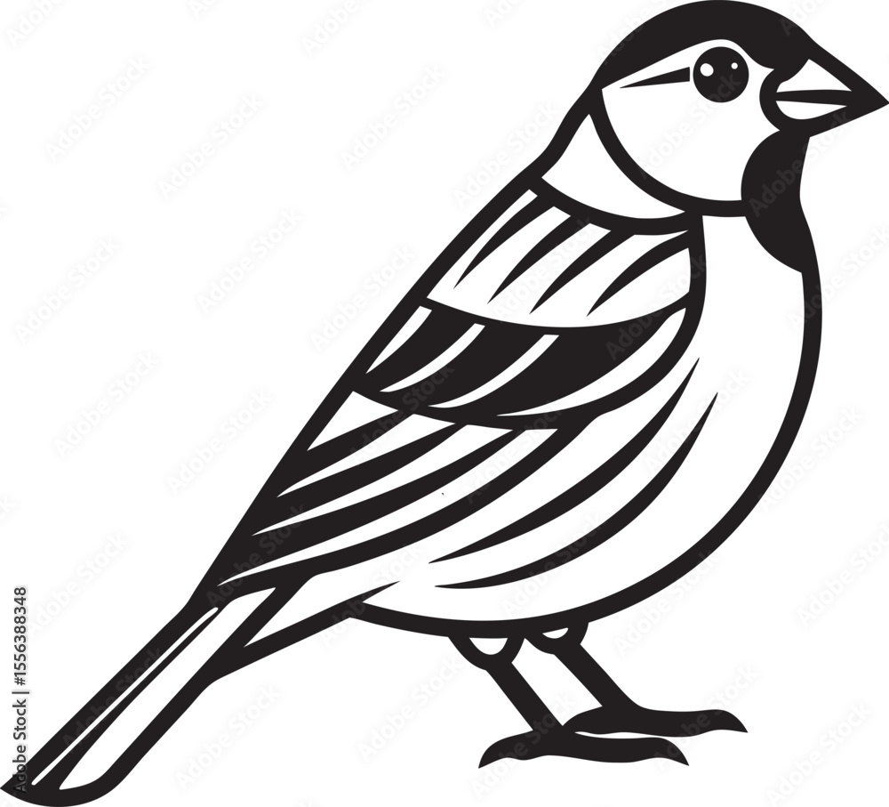 Fototapeta premium Finch bird outline black and white icon