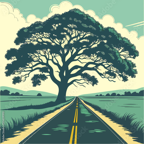 road in the countryside