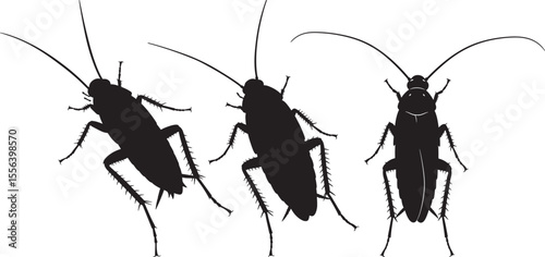 Insect cockroach silhouette vector illustration