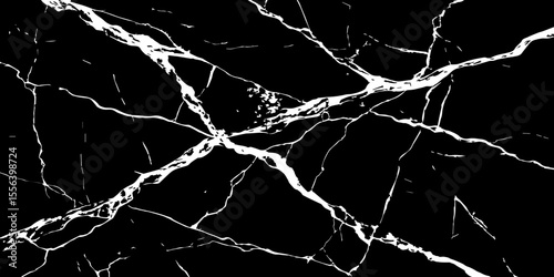 A striking, high-contrast black and white abstract pattern resembling fractured ice, cracked glass, or veining in dark marble.Emphasize sharp, intricate lines and a dynamic,almost chaotic composition.