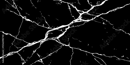 A striking, high-contrast black and white abstract pattern resembling fractured ice, cracked glass, or veining in dark marble.Emphasize sharp, intricate lines and a dynamic,almost chaotic composition.