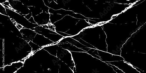A striking, high-contrast black and white abstract pattern resembling fractured ice, cracked glass, or veining in dark marble.Emphasize sharp, intricate lines and a dynamic,almost chaotic composition.