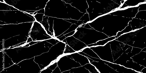 A striking, high-contrast black and white abstract pattern resembling fractured ice, cracked glass, or veining in dark marble.Emphasize sharp, intricate lines and a dynamic,almost chaotic composition.