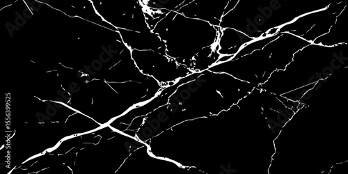 A striking, high-contrast black and white abstract pattern resembling fractured ice, cracked glass, or veining in dark marble.Emphasize sharp, intricate lines and a dynamic,almost chaotic composition.