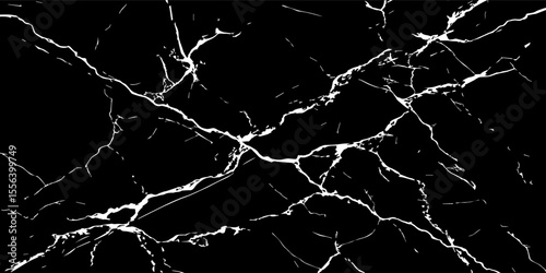 A striking, high-contrast black and white abstract pattern resembling fractured ice, cracked glass, or veining in dark marble.Emphasize sharp, intricate lines and a dynamic,almost chaotic composition.