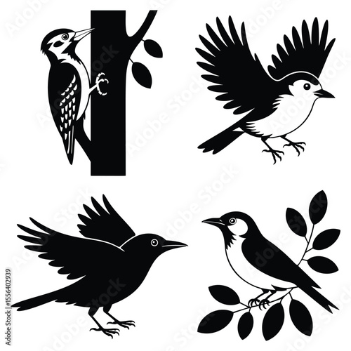 Four Black and White Bird Illustrations: Woodpecker, Blue Jay, and Two Other Avian Designs