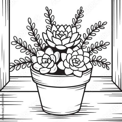 Potted succulent plant on wooden windowsill, hand-drawn black and white botanical line art for home decor or coloring