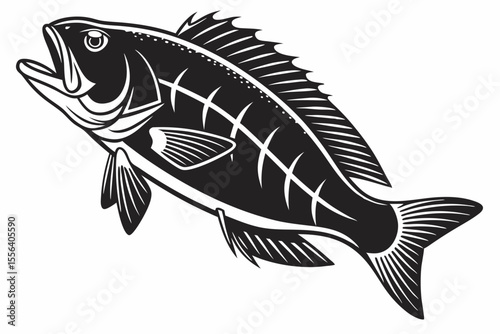 kohaku fish sihouette black vector
