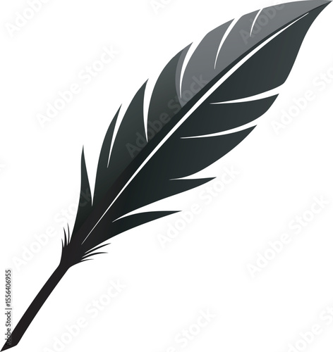 A single black feather with delicate details isolated on a white background