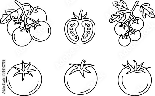 Black and white line drawings of tomatoes and tomato branches vine fruit