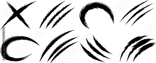 Black claw marks and scratches on white background grunge