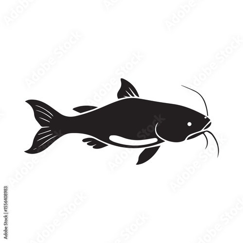 catfish vector illustration