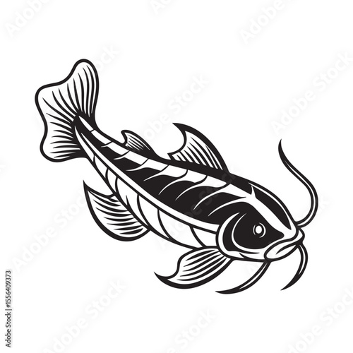 catfish vector illustration