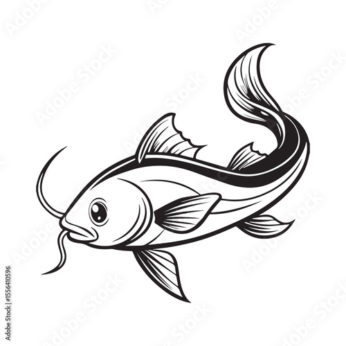 catfish vector illustration