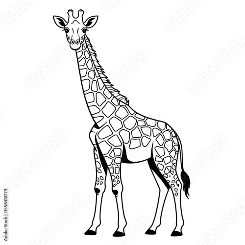 giraffe vector illustration