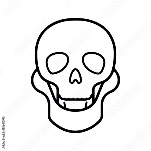 Mandible Vector Drawing Outline
