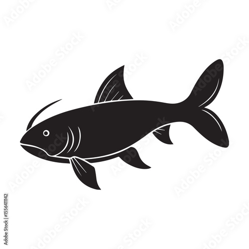 catfish vector illustration