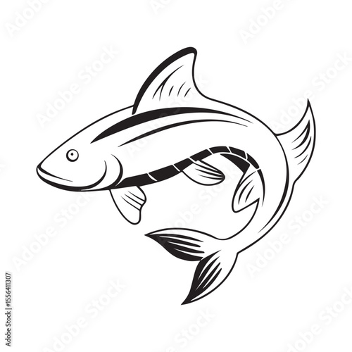 catfish vector illustration