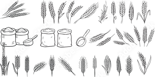 Wheat ears and sacks of flour line art illustration grain scoop
