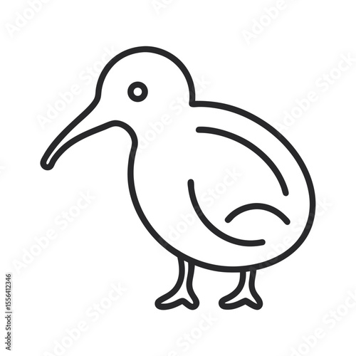 Kiwi bird minimal line art illustration