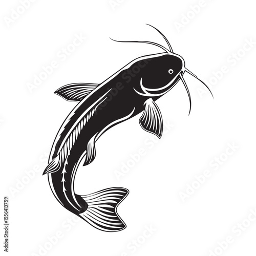 catfish vector illustration