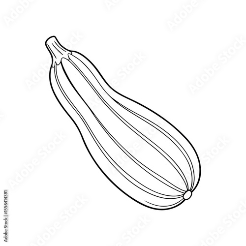 Zucchini Outline Fresh Veggie Line Art