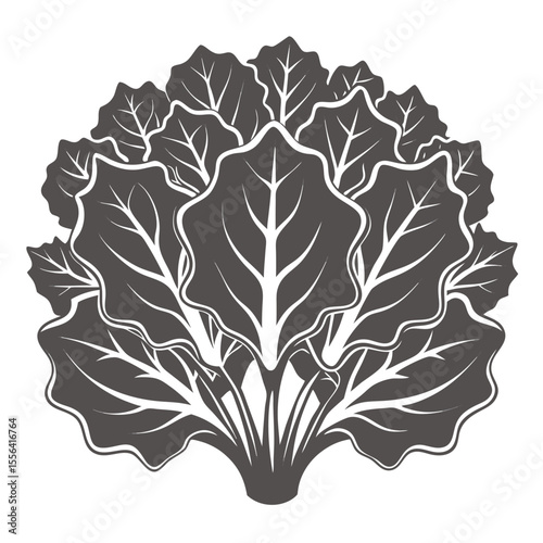 Detailed dark gray cabbage leaves arranged in a circular pattern silhouette