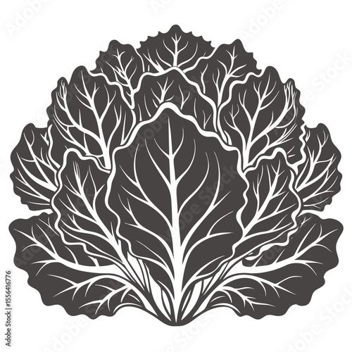Detailed dark gray cabbage leaves arranged in a circular pattern silhouette