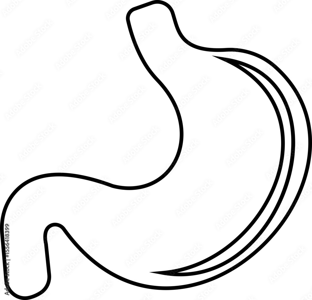 Obraz premium Stomach organ icon biology digestion function. contains gastric juice to aid digestion and ascend to the intestine. Stomach ache, healthcare symbol. Anatomy, healthy. silhouette Outline, flat design.