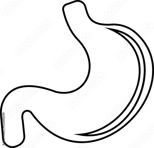 Stomach organ icon biology digestion function. contains gastric juice to aid digestion and ascend to the intestine. Stomach ache, healthcare symbol. Anatomy, healthy. silhouette Outline, flat design.