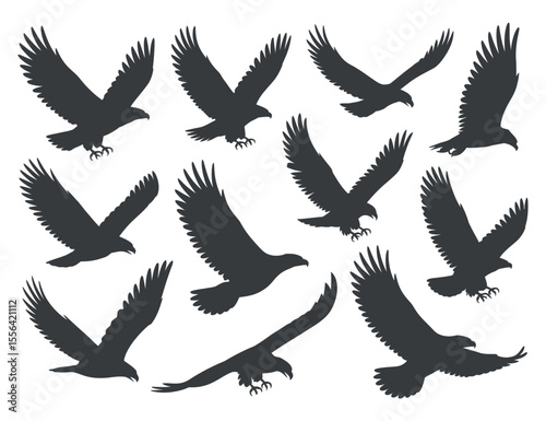 Collection of Silhouettes of Eagles in Flight Vector graphic various eagles flight eagle birds silhouette flying wildlife nature vector graphic illustration design animal