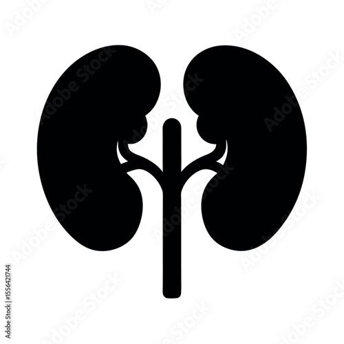 kidneys outline human anatomy silhouette black