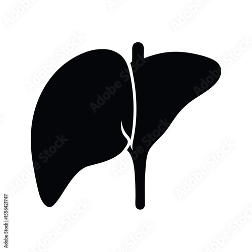 liver organ anatomy vector human black silhouette