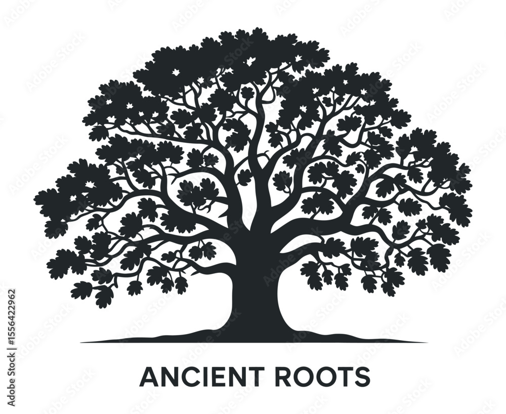 Fototapeta premium Silhouette of a large ancient oak tree with deep roots a symbol of longevity and strength Black silhouette mature against white background silhouette