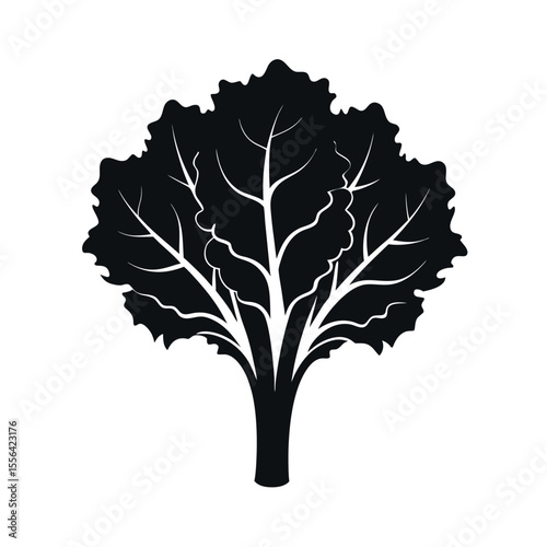 kale black vector silhouette sketch