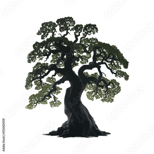 Detailed illustration of a stylized bonsai tree against a white background mature with wide canopy and thick trunk nature design art plant garden