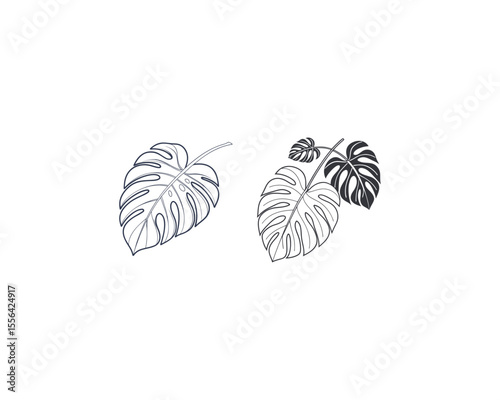 This image features a pair of stylized monstera leaves in a simple, elegant design