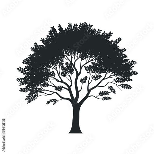 Silhouette of a full bodied tree with lush foliage and a sturdy trunk Black silhouette against white background silhouette image nature image forest