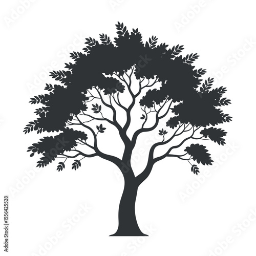Simple Silhouette of a Full Leafed Tree with a Strong Trunk dark gray silhouette tree full canopy leaves tree silhouette tree image nature