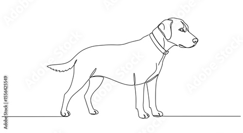 Line drawing of a standing dog