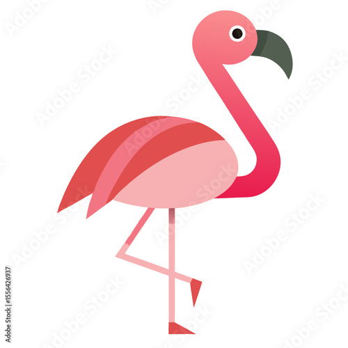 pink flamingo bird
