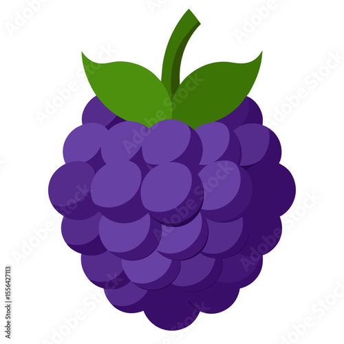 Vector illustration of a blackberry.