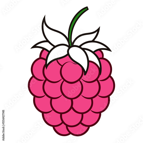 Vector illustration of a raspberry. Line art of raspberry.