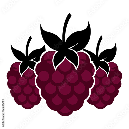 Raspberry fruits silhouette. Raspberry on white background.